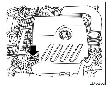 Nissan Altima L34. Engine oil