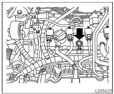 Nissan Altima L34. Engine oil