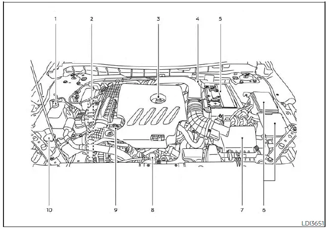 Nissan Altima L34. Engine compartment check locations