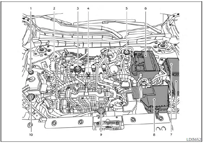 Nissan Altima L34. Engine compartment check locations