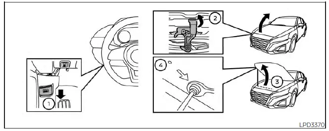 Nissan Altima L34. Hood